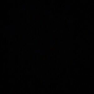 Meet your Posher, Eva